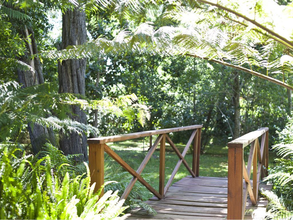 Andelomi Forest Lodge 스톰스리비에르 외부 사진